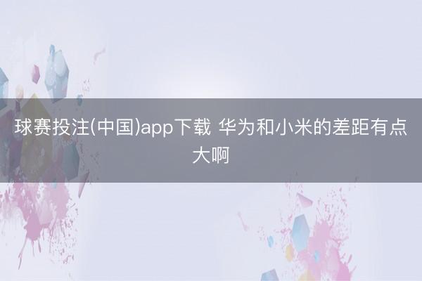 球赛投注(中国)app下载 华为和小米的差距有点大啊