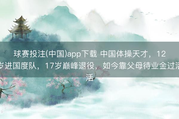 球赛投注(中国)app下载 中国体操天才,12岁进国度队,17岁巅峰退役,如今靠父母待业金过活