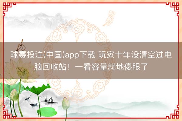 球赛投注(中国)app下载 玩家十年没清空过电脑回收站！一看容量就地傻眼了