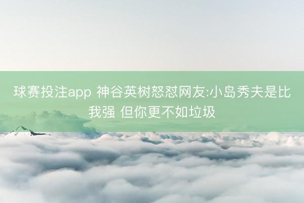 球赛投注app 神谷英树怒怼网友:小岛秀夫是比我强 但你更不如垃圾
