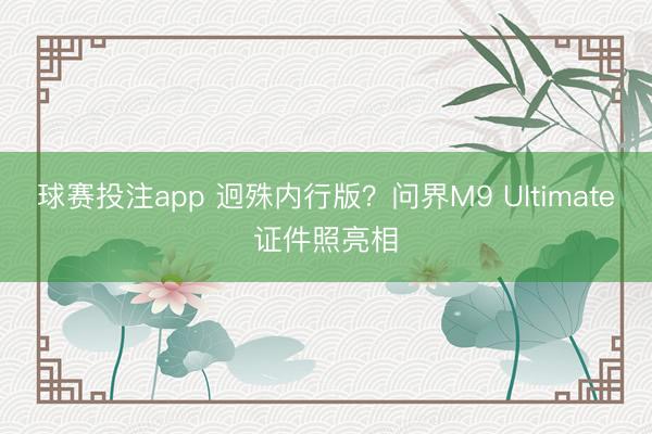 球赛投注app 迥殊内行版？问界M9 Ultimate证件照亮相