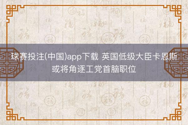 球赛投注(中国)app下载 英国低级大臣卡恩斯或将角逐工党首脑职位