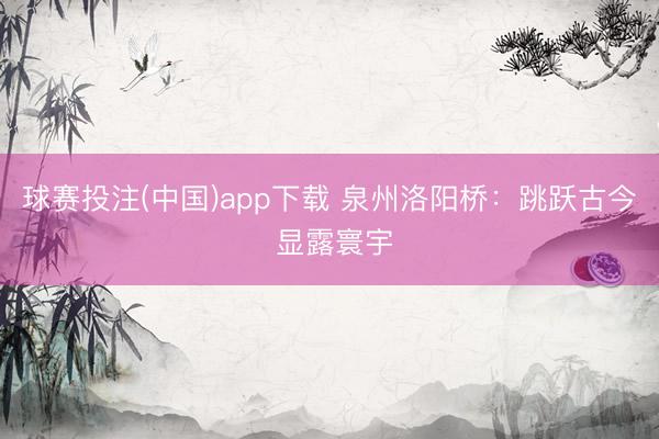 球赛投注(中国)app下载 泉州洛阳桥:跳跃古今 显露寰宇