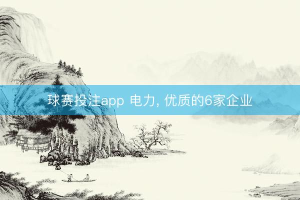 球赛投注app 电力， 优质的6家企业
