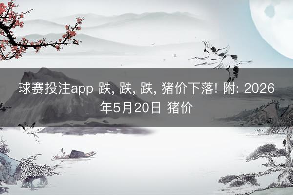 球赛投注app 跌， 跌， 跌， 猪价下落! 附: 2026年5月20日 猪价