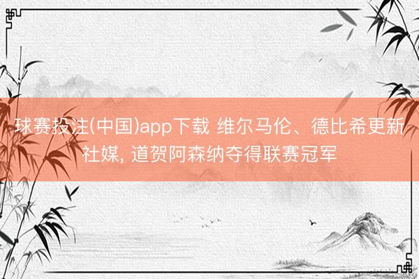 球赛投注(中国)app下载 维尔马伦、德比希更新社媒, 道贺阿森纳夺得联赛冠军
