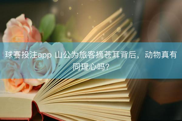 球赛投注app 山公为旅客摘苍耳背后，动物真有同理心吗？