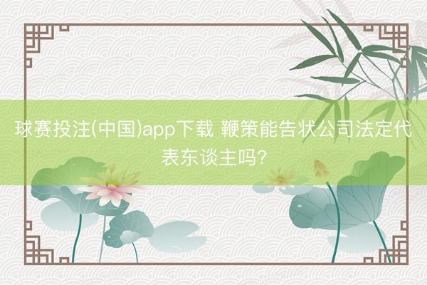 球赛投注(中国)app下载 鞭策能告状公司法定代表东谈主吗?