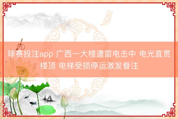 球赛投注app 广西一大楼遭雷电击中 电光直贯楼顶 电梯受损停运激发眷注