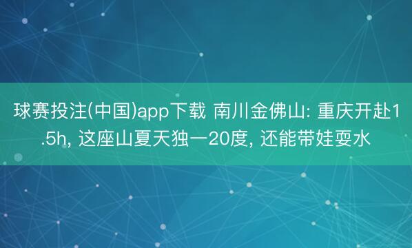 球赛投注(中国)app下载 南川金佛山: 重庆开赴1.5h， 这座山夏天独一20度， 还能带娃耍水