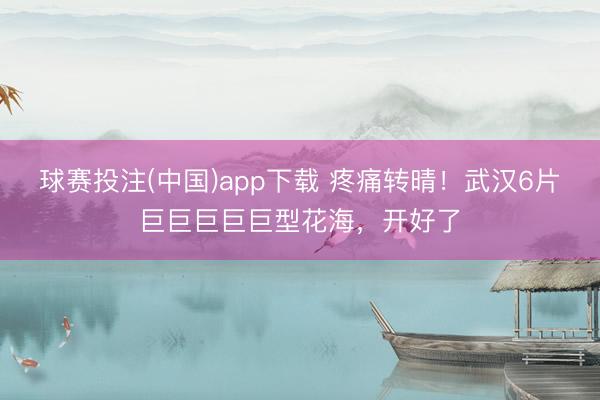 球赛投注(中国)app下载 疼痛转晴！武汉6片巨巨巨巨巨型花海，开好了