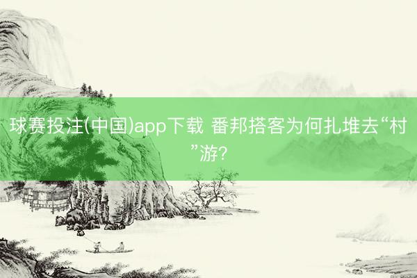 球赛投注(中国)app下载 番邦搭客为何扎堆去“村”游？