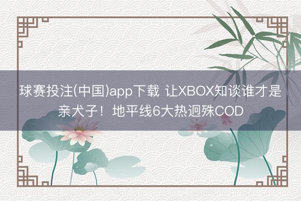球赛投注(中国)app下载 让XBOX知谈谁才是亲犬子！地平线6大热迥殊COD