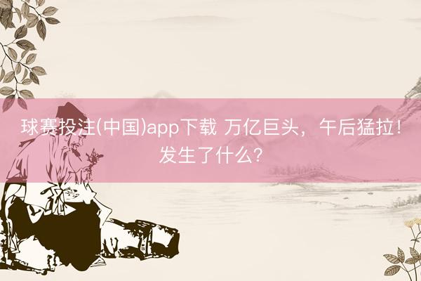 球赛投注(中国)app下载 万亿巨头,午后猛拉!发生了什么?