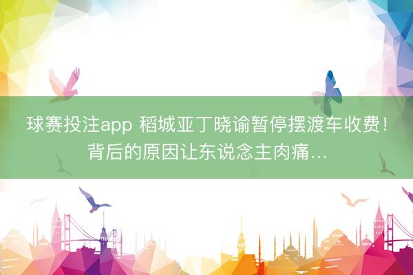 球赛投注app 稻城亚丁晓谕暂停摆渡车收费！背后的原因让东说念主肉痛…