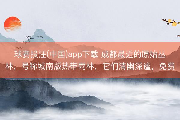 球赛投注(中国)app下载 成都最近的原始丛林，号称城南版热带雨林，它们清幽深谧，免费