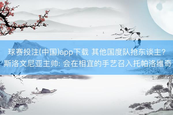 球赛投注(中国)app下载 其他国度队抢东谈主? 斯洛文尼亚主帅: 会在相宜的手艺召入托帕洛维奇