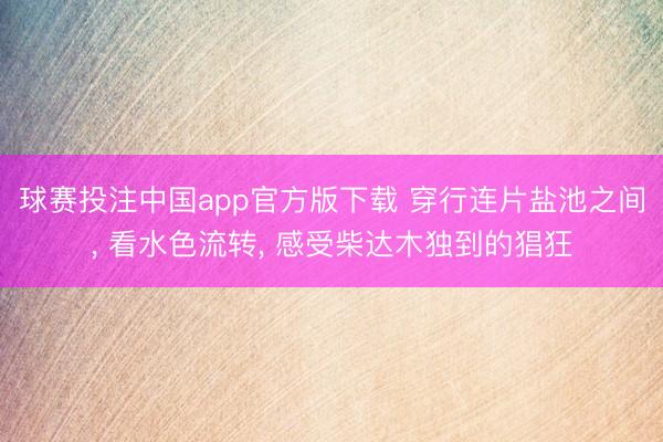 球赛投注中国app官方版下载 穿行连片盐池之间, 看水色流转, 感受柴达木独到的猖狂