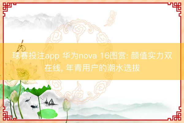球赛投注app 华为nova 16图赏: 颜值实力双在线， 年青用户的潮水选拔