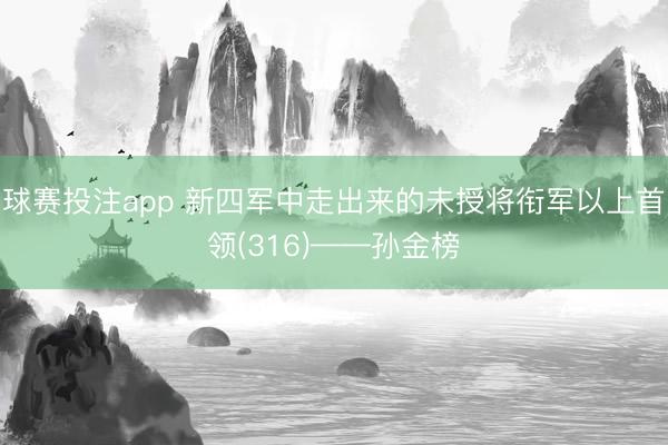 球赛投注app 新四军中走出来的未授将衔军以上首领(316)——孙金榜