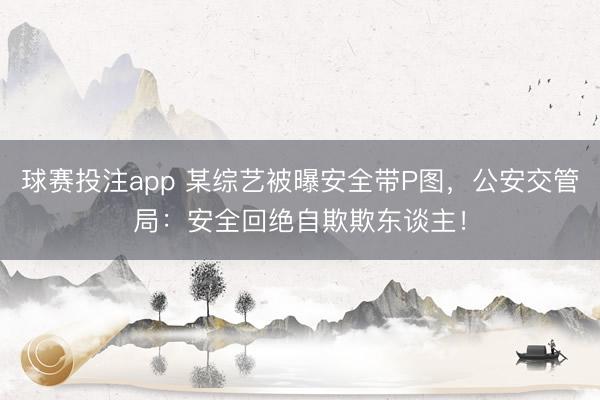球赛投注app 某综艺被曝安全带P图，公安交管局：安全回绝自欺欺东谈主！