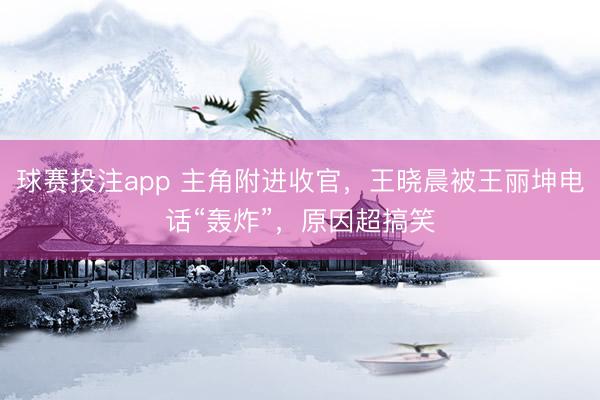 球赛投注app 主角附进收官，王晓晨被王丽坤电话“轰炸”，原因超搞笑