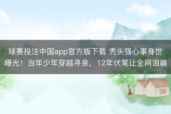 球赛投注中国app官方版下载 秃头强心事身世曝光！当年少年穿越寻亲，12年伏笔让全网泪崩