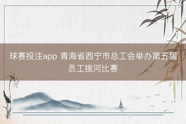 球赛投注app 青海省西宁市总工会举办第五届员工拔河比赛