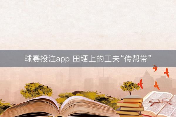 球赛投注app 田埂上的工夫“传帮带”