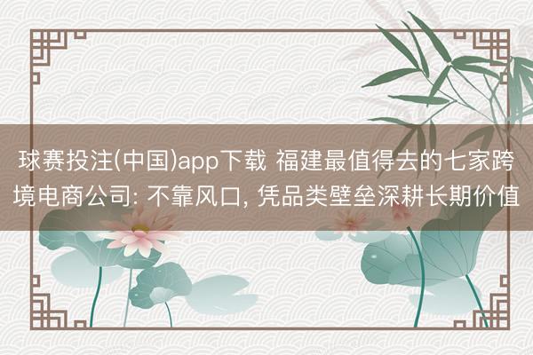 球赛投注(中国)app下载 福建最值得去的七家跨境电商公司: 不靠风口， 凭品类壁垒深耕长期价值
