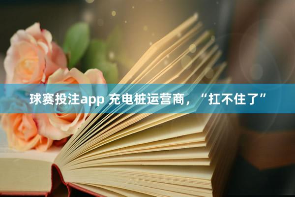 球赛投注app 充电桩运营商，“扛不住了”