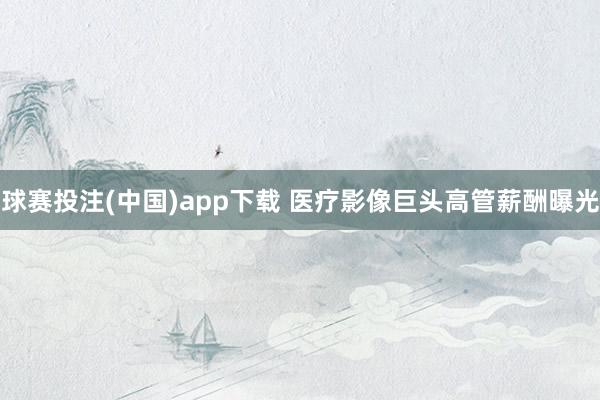 球赛投注(中国)app下载 医疗影像巨头高管薪酬曝光