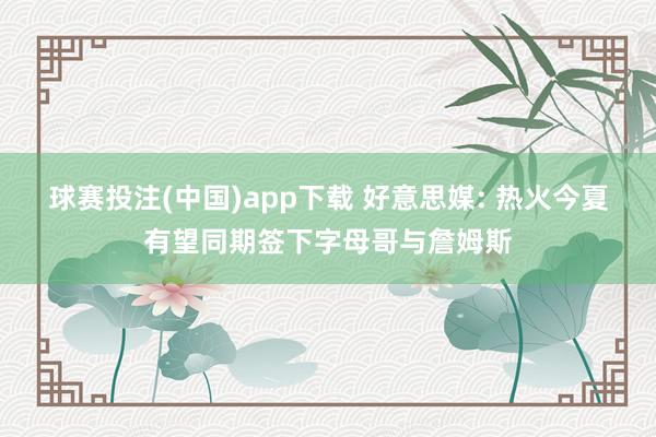 球赛投注(中国)app下载 好意思媒: 热火今夏有望同期签下字母哥与詹姆斯